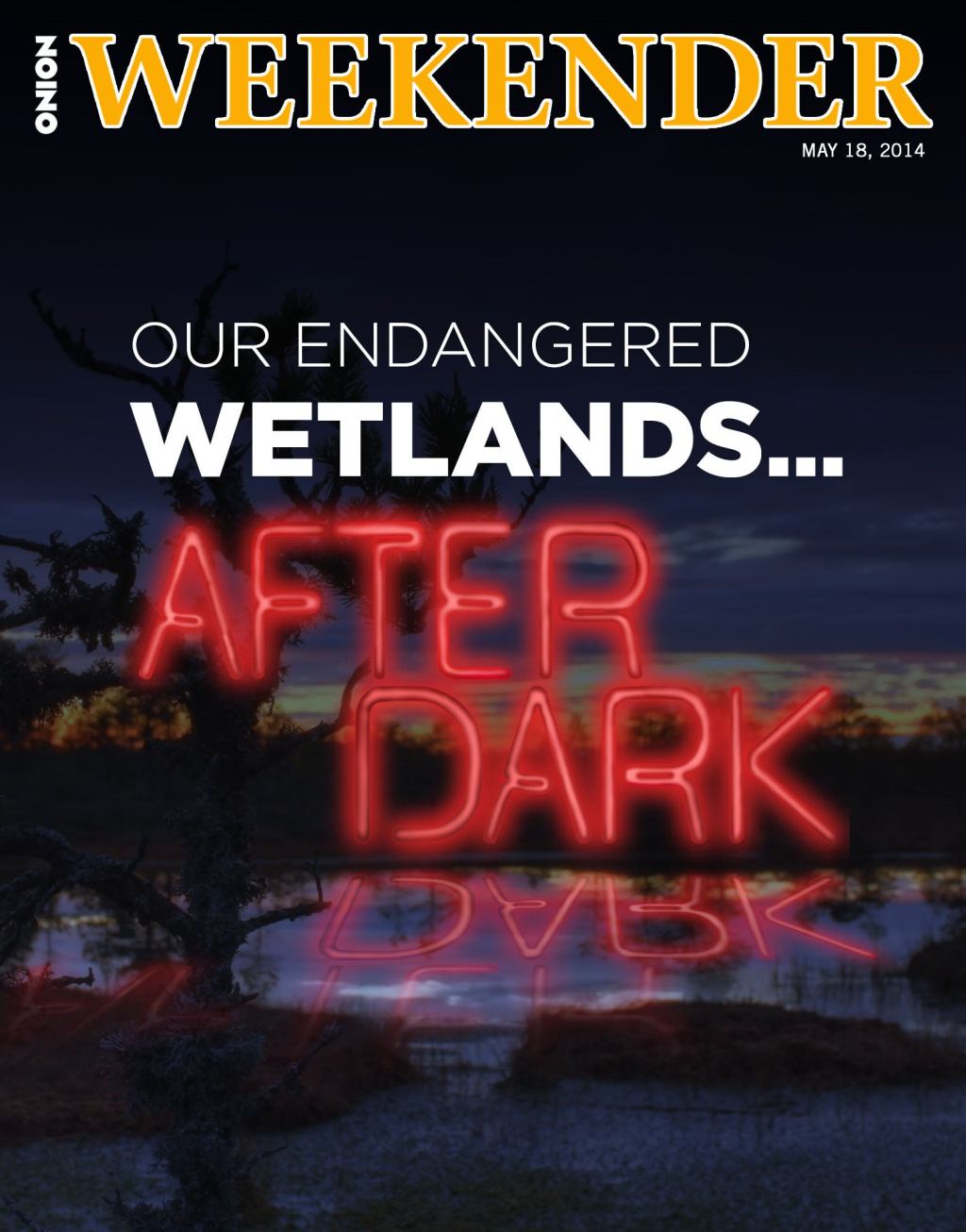 Our Endangered Wetlands… After Dark