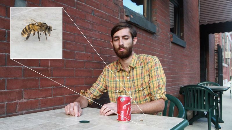 Uneasy Détente Forms Between Man Sitting On Patio, Bee