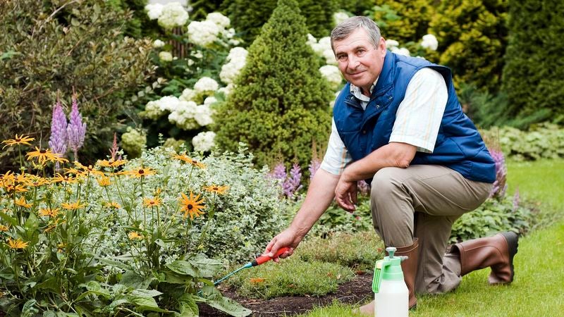 New Hobby To Tide Retired Man Over Until Death