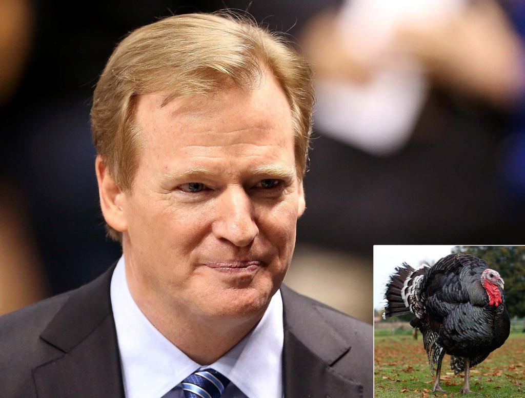 Roger Goodell Ceremonially Pardons Turkey Accused Of Domestic Violence