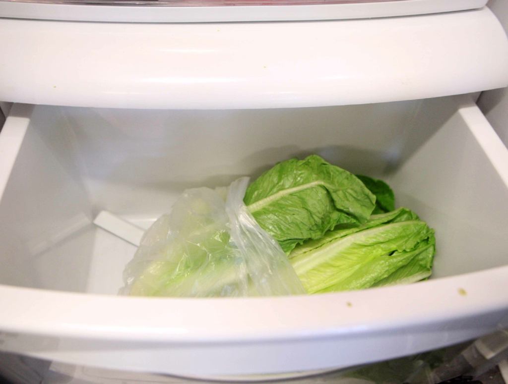 Lettuce Sentenced To Slow, Painful Death In Vegetable Crisper Drawer