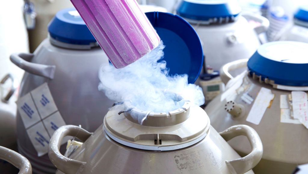 The Pros And Cons Of Freezing Your Eggs