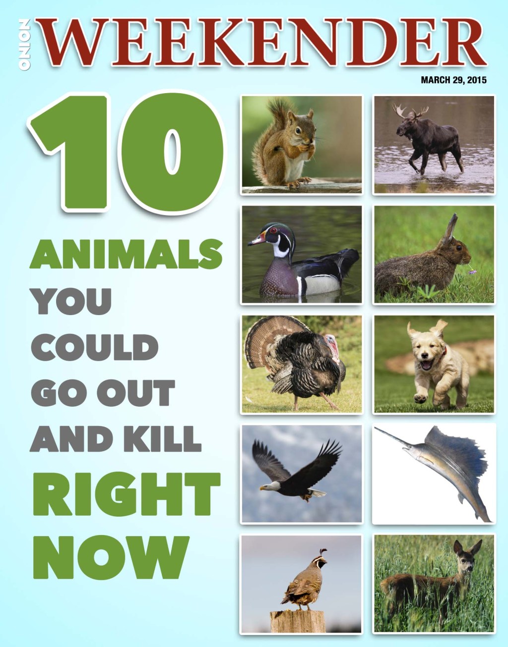 10 Animals You Could Go Out And Kill Right Now