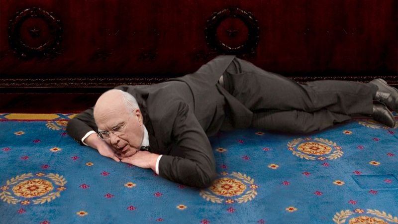 Loyal Senator Still Lying Patiently In Spot Where Beloved Bill Died