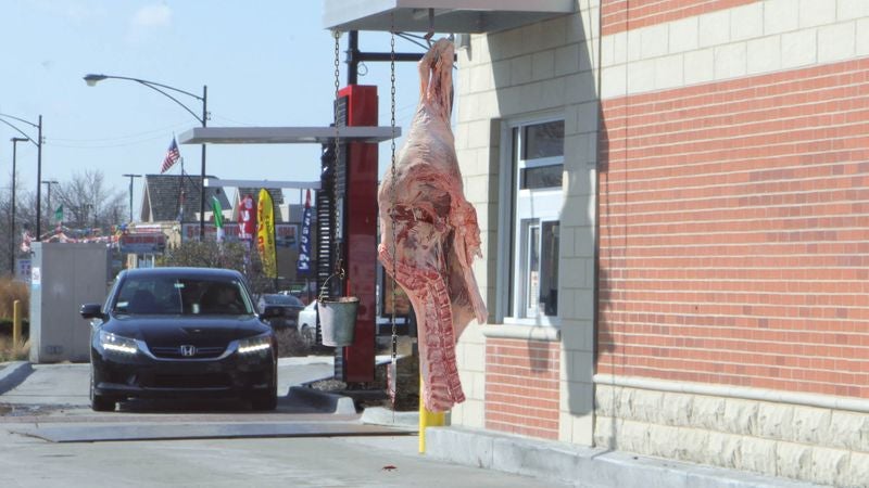 Fast Food Drive-Thru Just Cow Carcass, Bucket For Money