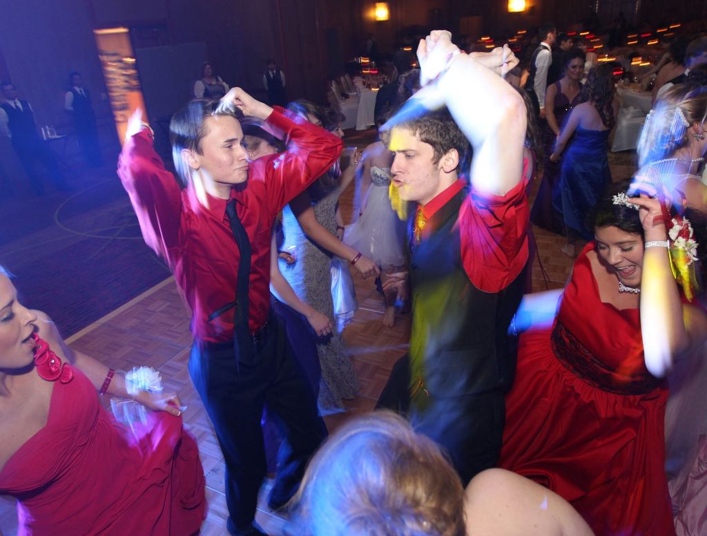 Wild, Rutting Animals Pour Onto Prom Dance Floor