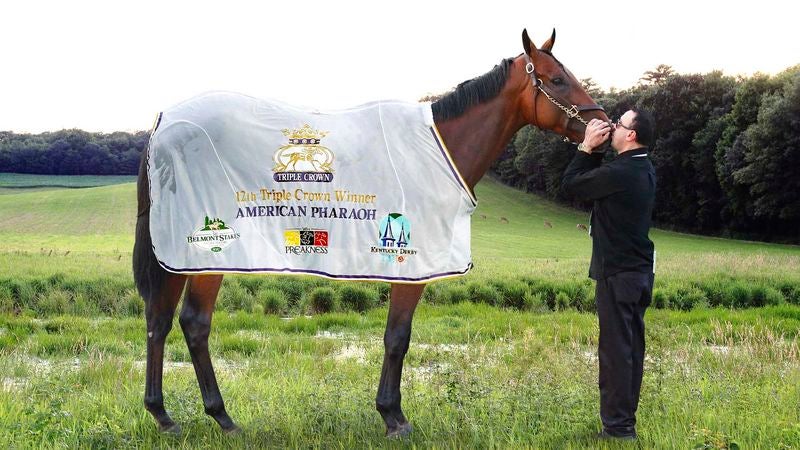 Owner Tearfully Releases American Pharoah After Triple Crown Win