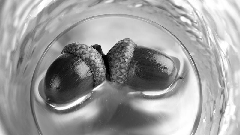 Wedding Album Off To Bizarre Start With Photo Of 2 Acorns Floating In Glass Of Water