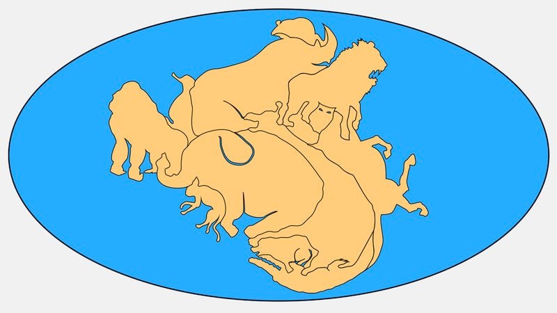 Study Finds Earth’s Animals One Giant Creature Before Breaking Apart Millions Of Years Ago