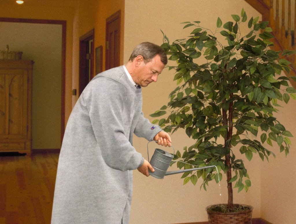 Chief Justice Roberts Putters Around House All Day In Gray Sweat Robe