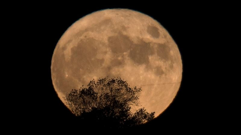 New Report Finds Americans Most Interested In Science When Moon Looks Different Than Usual