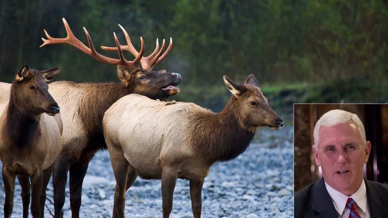 Mike Pence Vows To Cut Conservation Funding After Discovering Elk Don’t Mate For Life