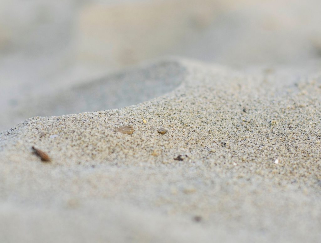 Depressed Crab Stays Buried Under Sand Until 2 P.M.