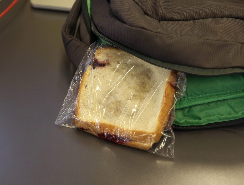 Sandwich Previously Thought Incapable Of Looking More Depressing Flattened In Backpack