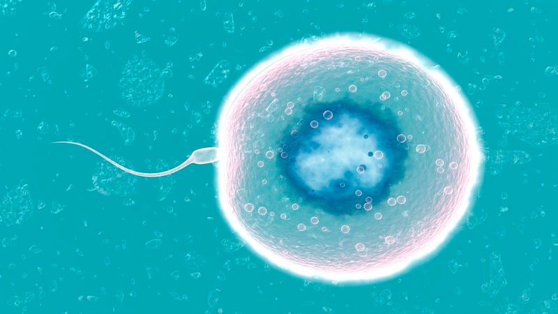 Biological Life Regrets Waiting 2.3 Billion Years To Try Sex