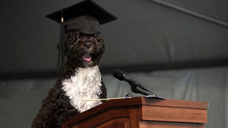 Bo Obama Addresses Graduates Of Dayton Obedience School