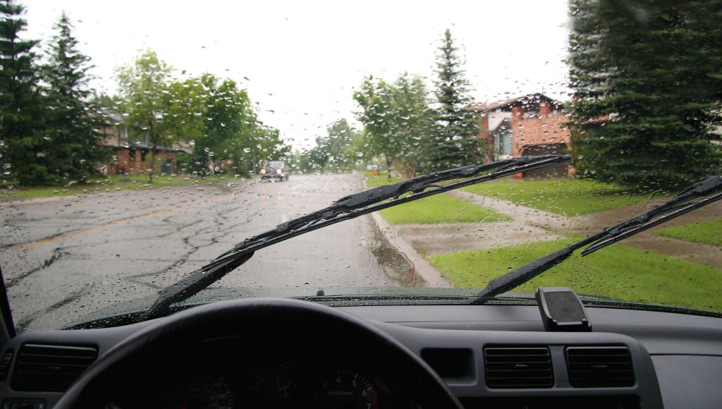 Lovebird Windshield Wipers Gleefully Chasing Each Other Through Rain