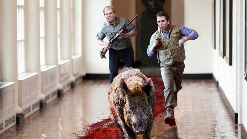 Trump Boys Chasing Wounded Boar Around White House