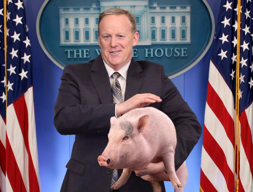 Sean Spicer Cradling Comfort Pig Throughout Briefing