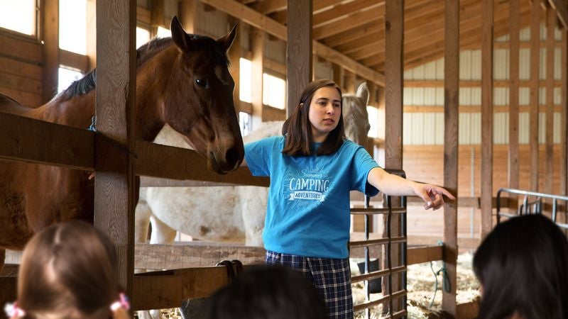 Camp Counselor Assigning Kids To Horses Like Wise Town Matchmaker Presiding Over Marriage