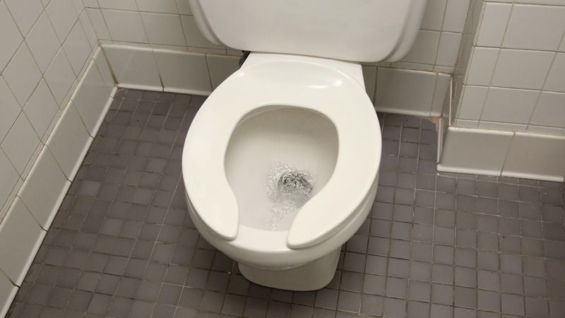 Study Finds Flushing Toilets Wastes Billions Of Gallons Of Piss And Shit Annually