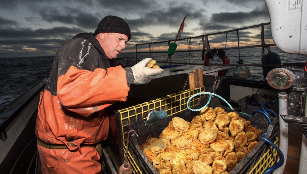 Red Lobster Criticized For Decimating Biscuit Populations Along Cheddar Bay