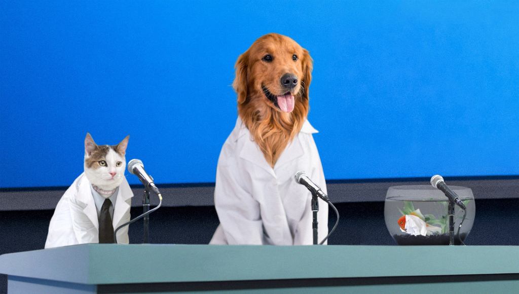 Pet Researchers Confirm 100% Of Owners Who Leave For Work Never Coming Back