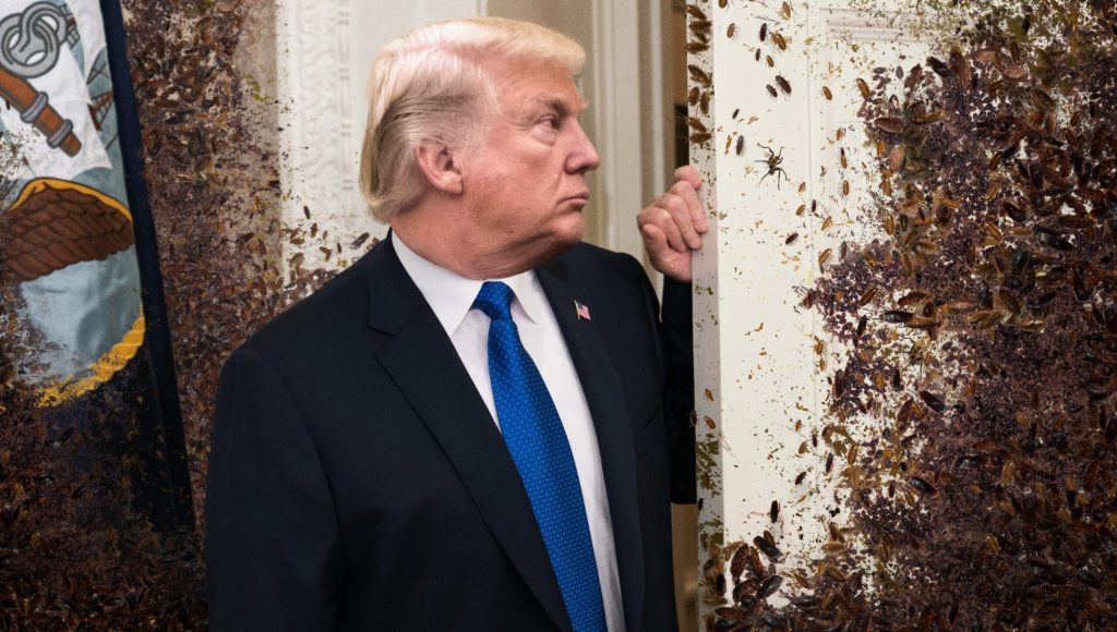 ‘Sometimes It Feels Like You’re The Only One Who Understands Me,’ Whispers Trump To White House Roach Infestation