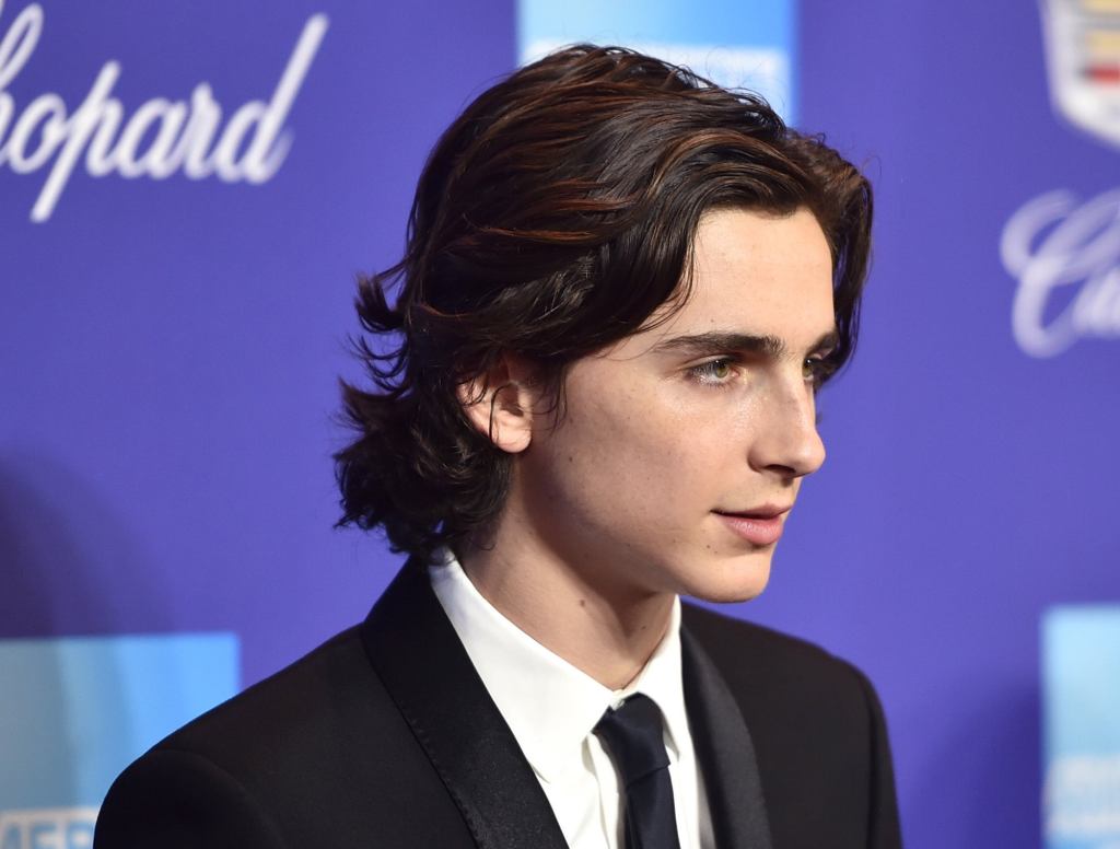 Timothée Chalamet Donates 30,000 Smoldering Looks To Time’s Up Fund In Wake Of Woody Allen Controversy