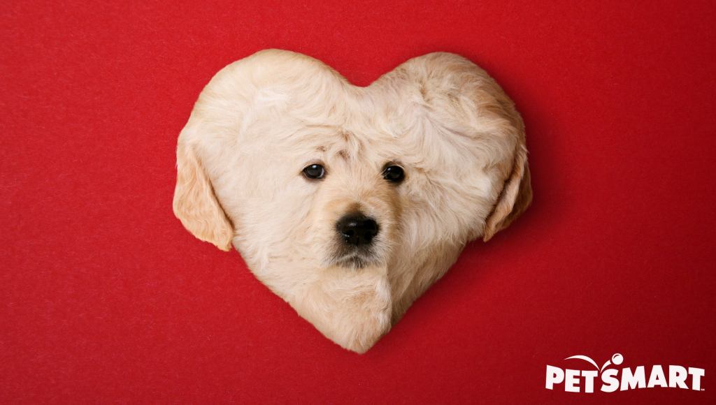 PetSmart Introduces Heart-Shaped Puppy For Valentine’s Day