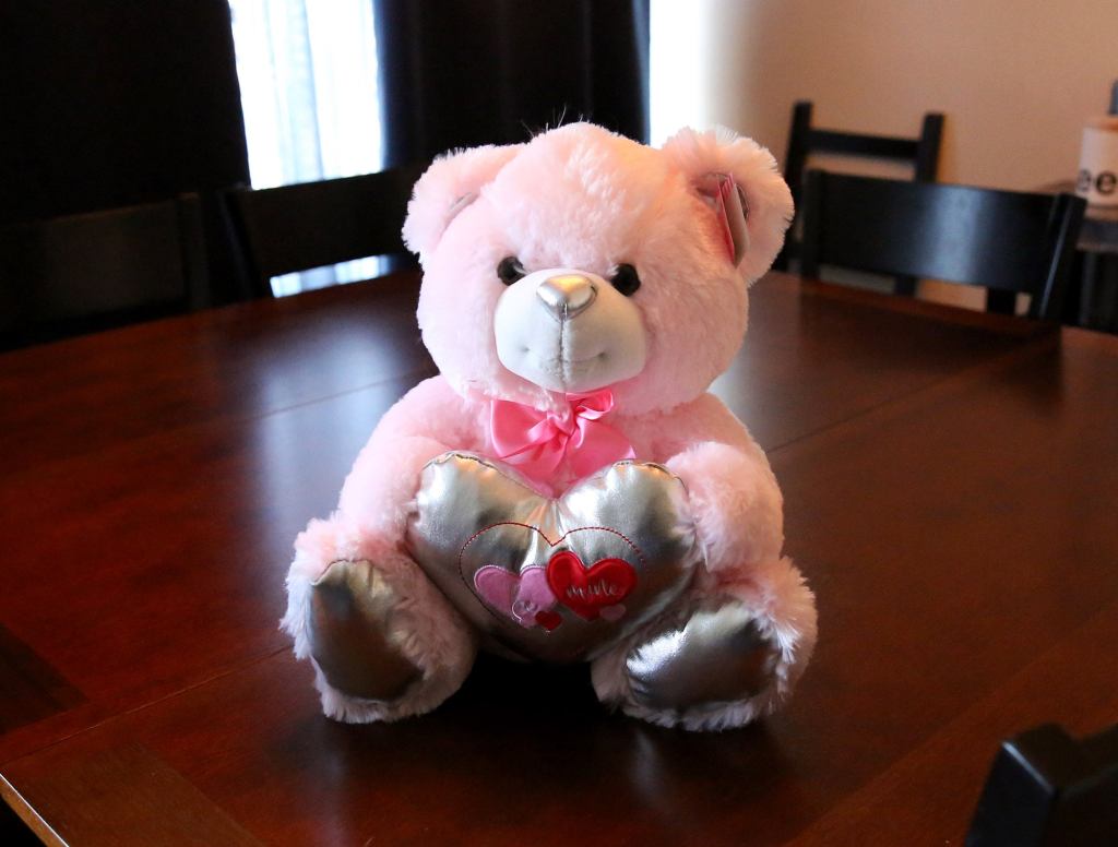 Teddy Bear Feels Terrible For Sparking ‘What Are We?’ Conversation