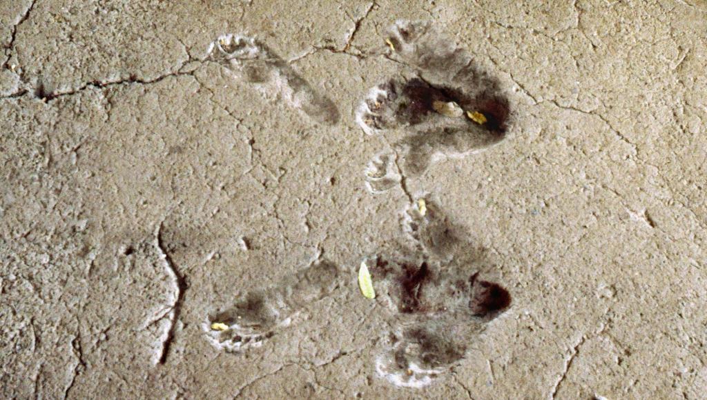 Recently Discovered 13,000-Year-Old Footprints Reveal Humans Danced The Charleston Earlier Than First Thought