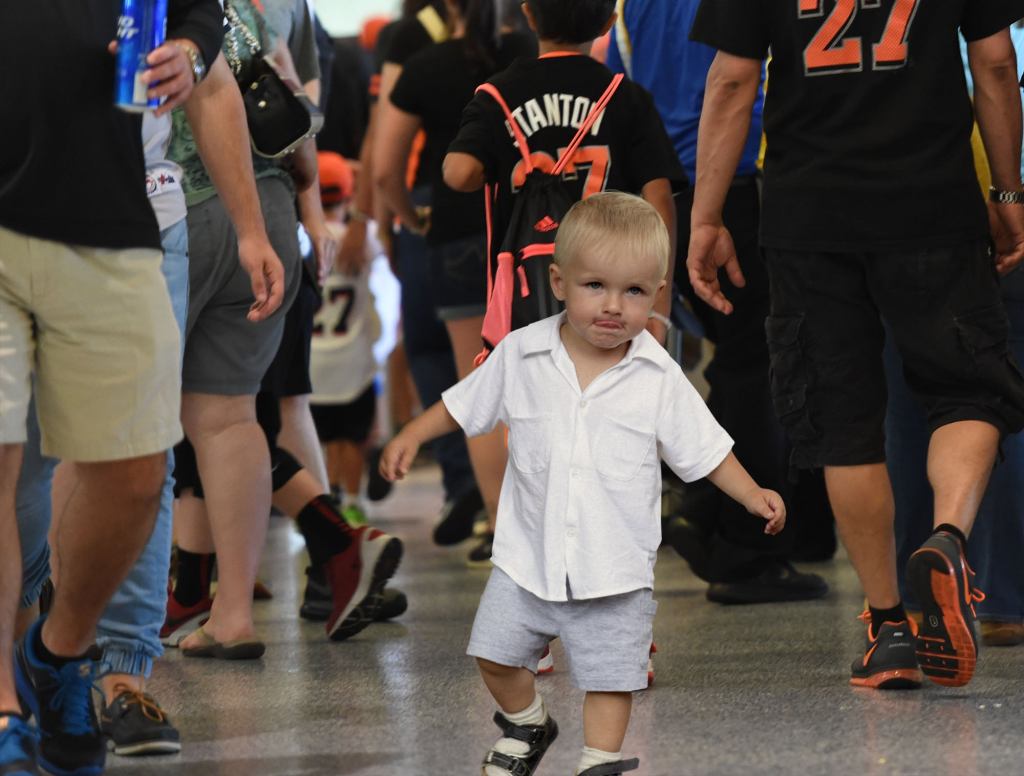 Child At Baseball Game Lost In Forest Of Cargo Shorts, Milky-White Calves