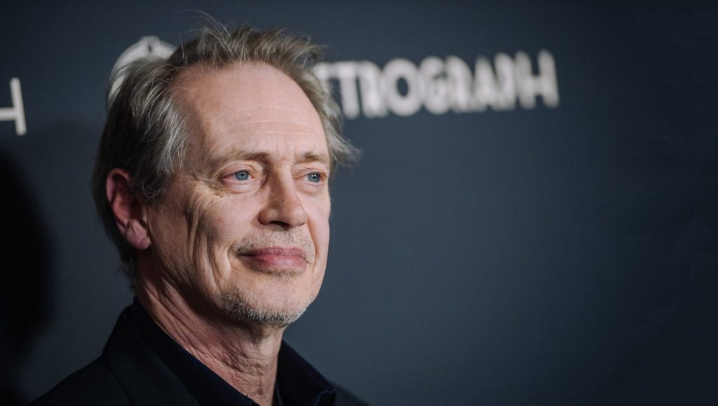 Steve Buscemi To Make Surprise Guest Appearance In This Article