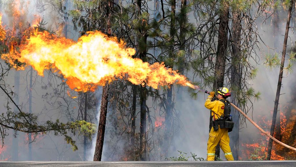 Embarrassed California Firefighters Realize They’ve Been Spraying Flames This Whole Time