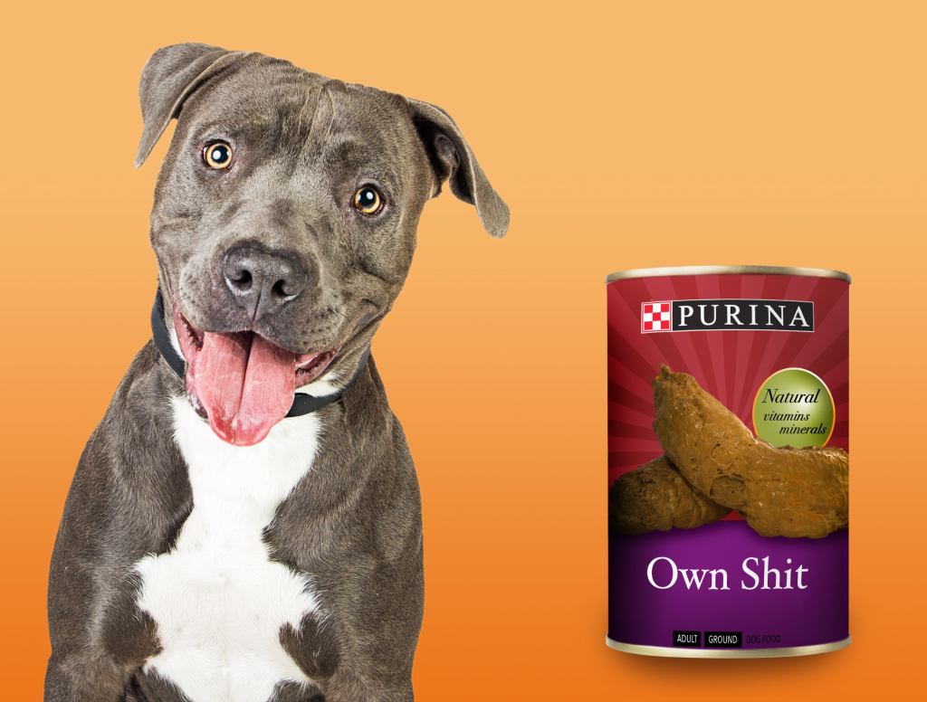 Purina Introduces ‘Own Shit’ Dog Food Flavor