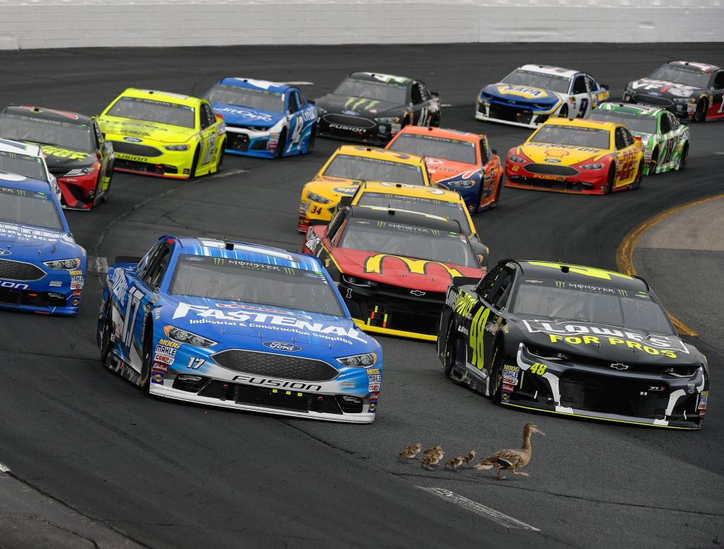 NASCAR Race Stops To Wait For Family Of Ducks To Pass