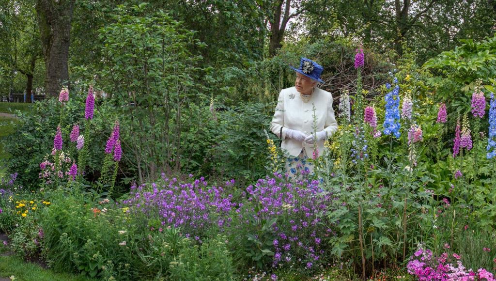 Queen Elizabeth Hides Out In Bushes To Catch Whoever Keeps Stealing Packages From Buckingham Palace Porch