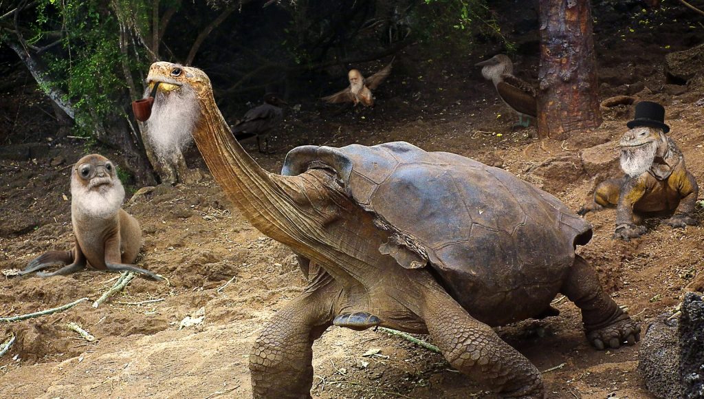 Ecologists Discover 400 Species Of Charles Darwin Living In Galápagos Islands