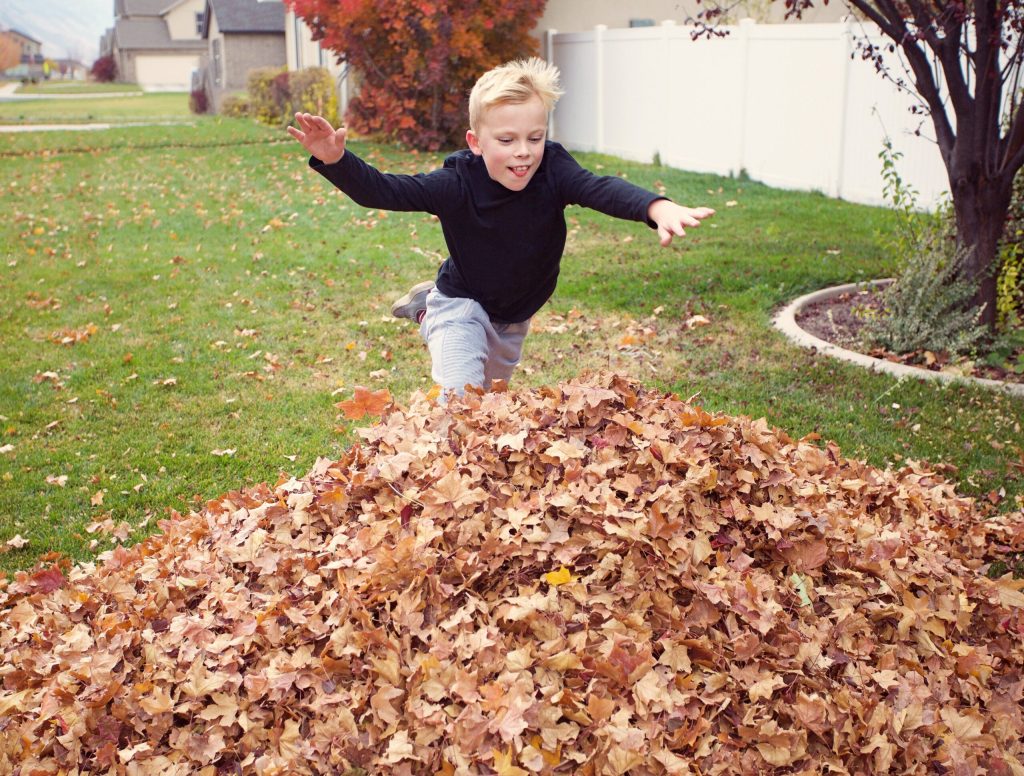 Kid Diving Into Pile Of Leaves Has No Idea There Homeless Guy Jerking Off In There