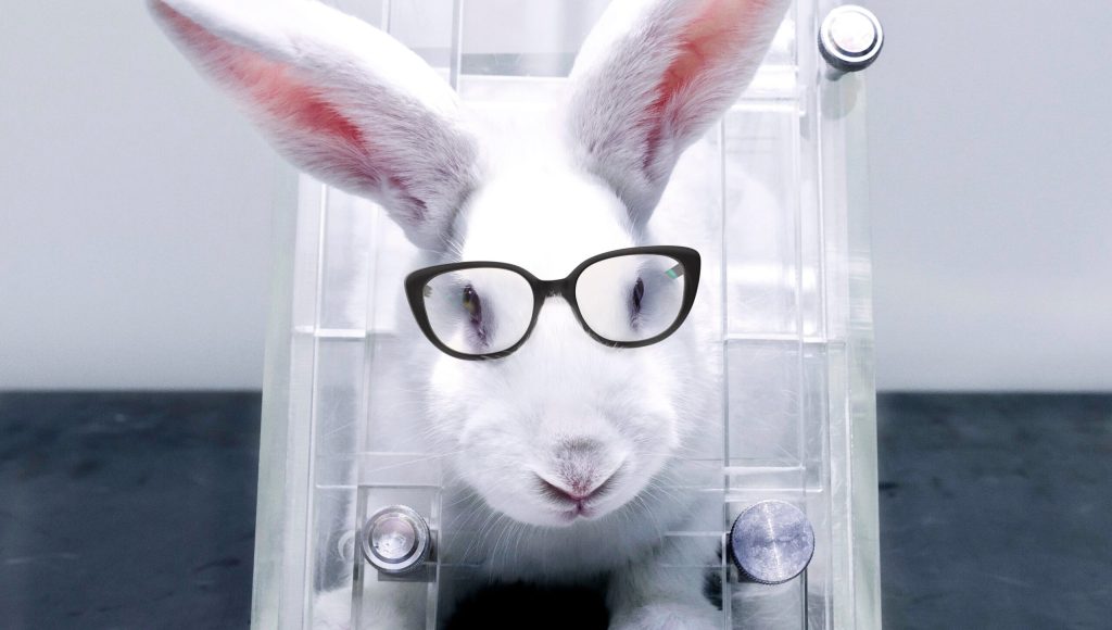 Warby Parker Apologizes For Years Of Testing Glasses On Animals