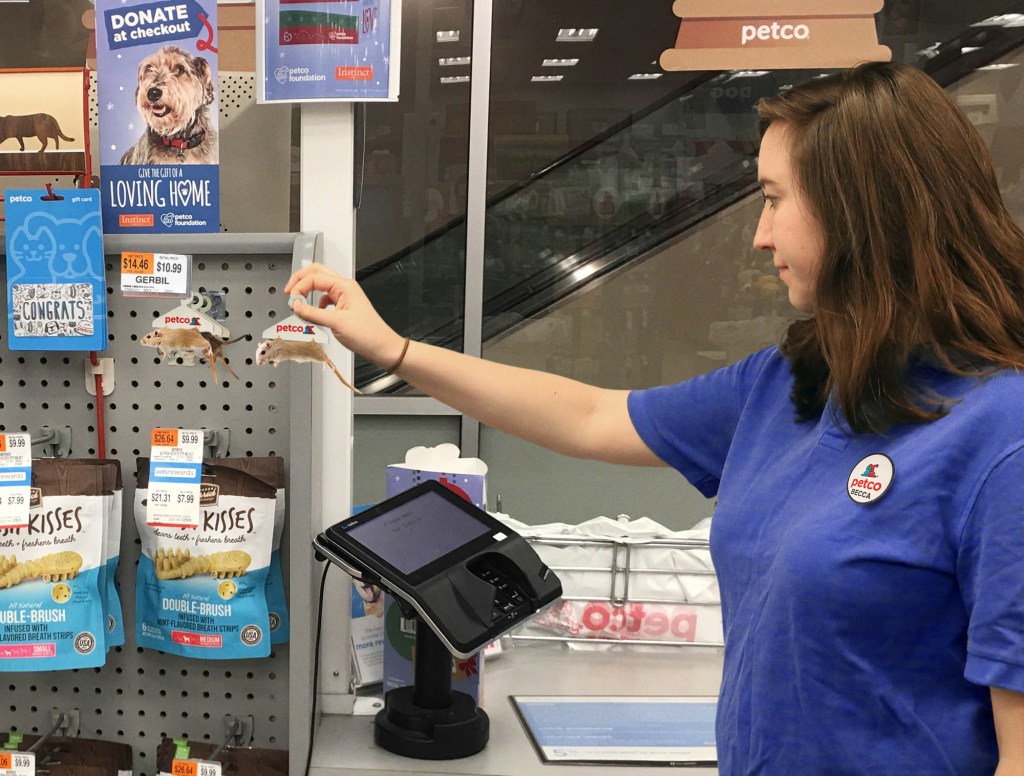 Petco Employee Stocks Gerbils By The Cash Register For Impulse Purchases