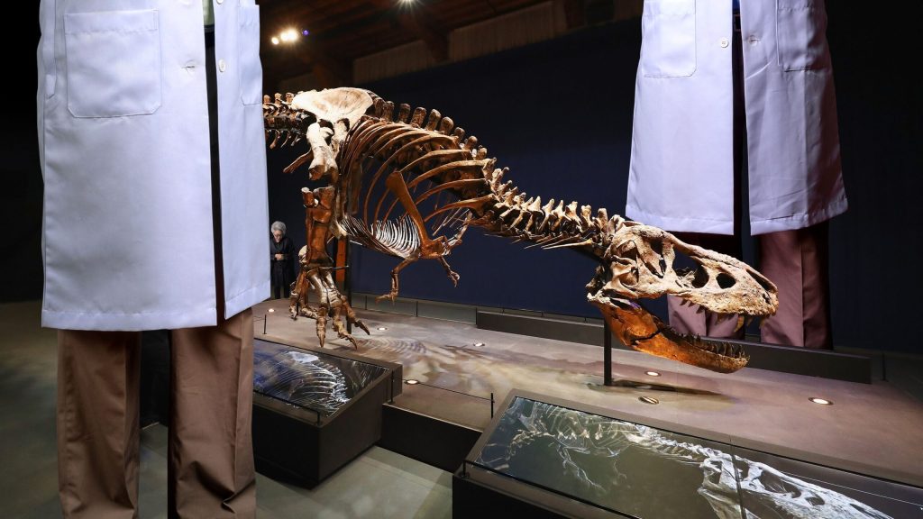 ‘T. Rex May Be Smaller Than Previously Thought,’ Report 50-Foot-Tall Researchers