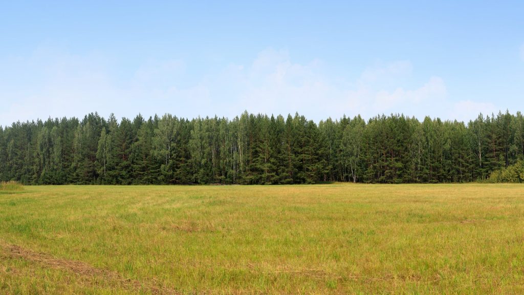 Reconstruction Finally Completed On Field Destroyed By United Flight 93