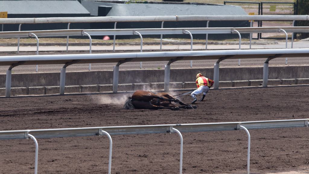 Santa Anita Racetrack Officials Award First Place To Jockey Who Dragged Dead Horse 30 Yards Over Finish Line