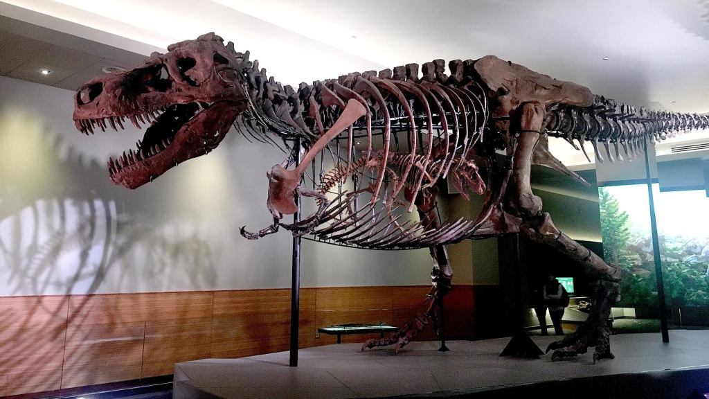 Field Museum Officials Announce Long-Awaited Pregnancy Of Prized T-Rex