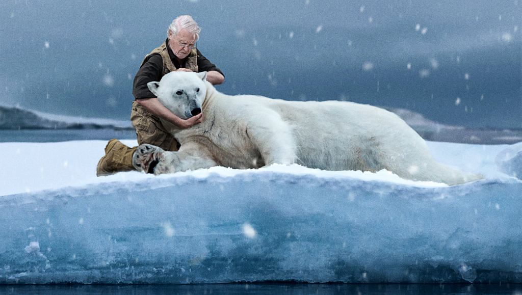 Shocked ‘Our Planet’ Viewers Watch As David Attenborough Enters Scene To Break Neck Of Starving Polar Bear