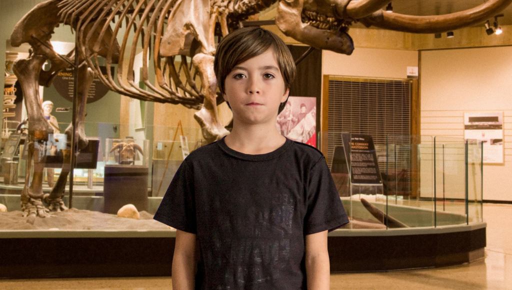 American Museum Of Natural History Acquires Rare Third-Grader Separated From Group On Class Trip