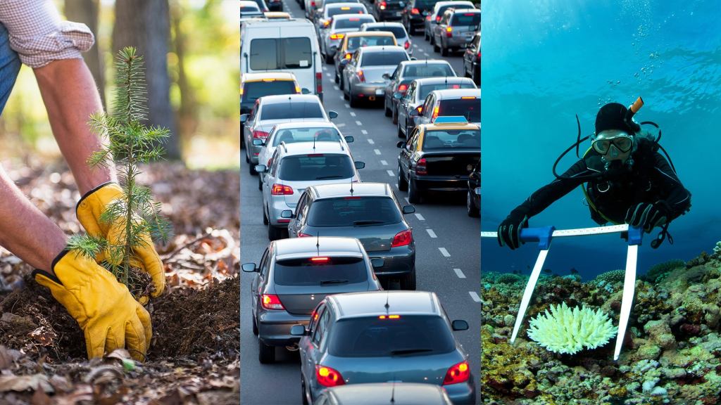 Report: Doing Your Part To Stop Climate Change Now Requires Planting 30,000 New Trees, Getting 40,000 Cars Off The Road, Reviving 20 Square Miles Of Coral Reef