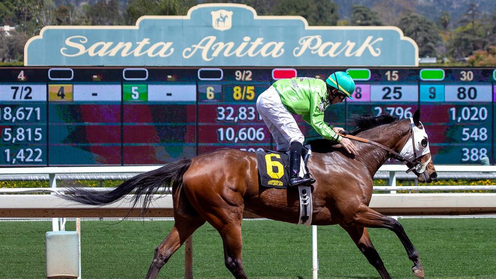 Santa Anita Park Officials Announce They Will Stop Allowing Bets On All Upcoming Horse Deaths